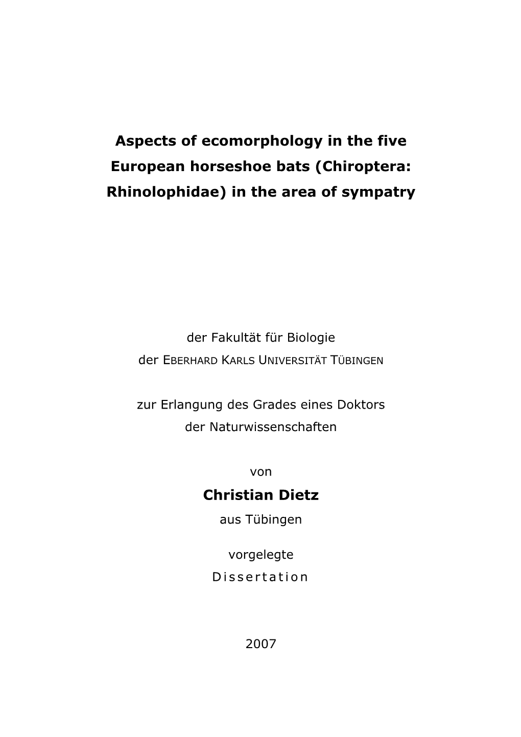 Dissertation Christian Dietz 2007