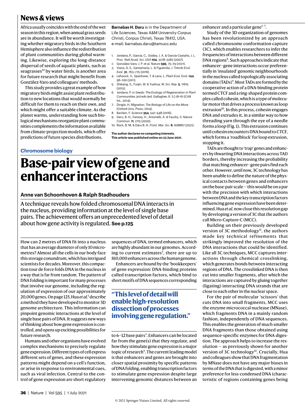 Base-Pair View of Gene and Enhancer Interactions