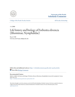 Life History and Biology of Forbestra Olivencia (Ithomiinae, Nymphalidae) Ryan I