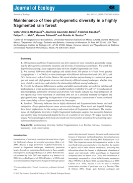 Maintenance of Tree Phylogenetic Diversity in a Highly Fragmented Rain Forest