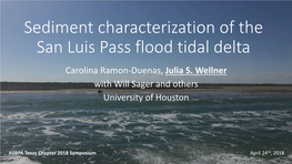 Sediment Characterization of the San Luis Pass Flood Tidal Delta Carolina Ramon-Duenas, Julia S