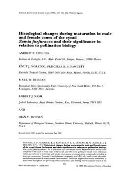Histological Changes During Maturation in Male Zamia