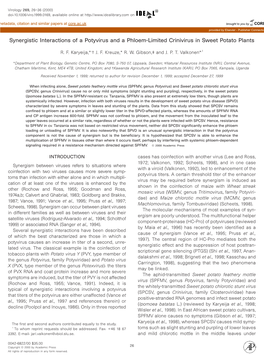 Synergistic Interactions of a Potyvirus and a Phloem-Limited Crinivirus in Sweet Potato Plants