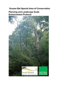 Sussex Bat Special Area of Conservation Planning and Landscape Scale Enhancement Protocol