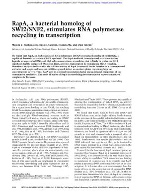 Rapa, a Bacterial Homolog of SWI2/SNF2, Stimulates RNA Polymerase Recycling in Transcription