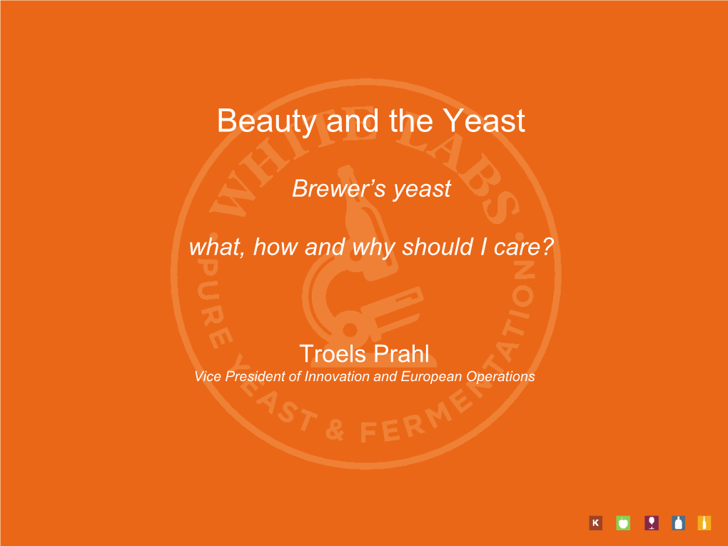 Beauty and the Yeast