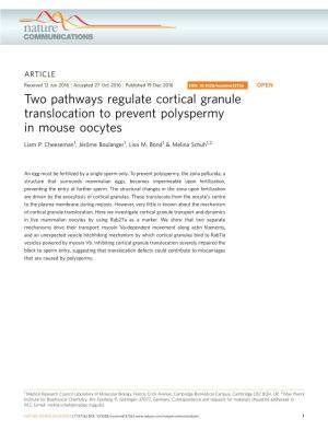 Two Pathways Regulate Cortical Granule Translocation to Prevent Polyspermy in Mouse Oocytes