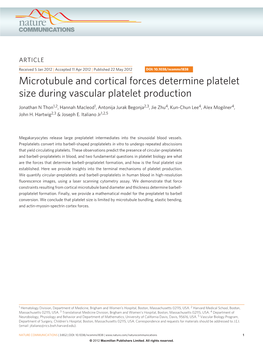 Microtubule and Cortical Forces Determine Platelet Size During Vascular Platelet Production