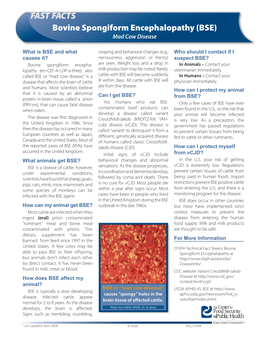 Bovine Spongiform Encephalopathy (Mad Cow Disease) Fast Fact