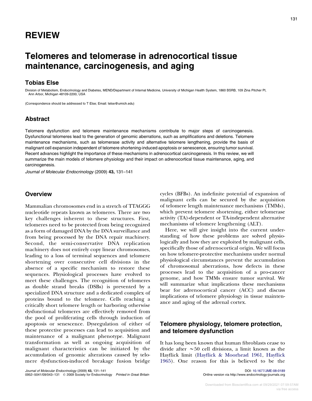 REVIEW Telomeres and Telomerase in Adrenocortical Tissue Maintenance