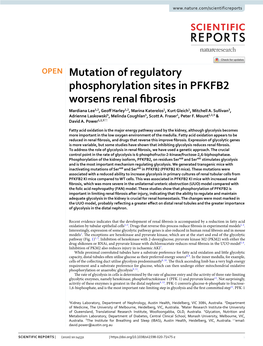 Mutation of Regulatory Phosphorylation Sites in PFKFB2 Worsens Renal Fbrosis Mardiana Lee1,2, Geof Harley1,2, Marina Katerelos1, Kurt Gleich1, Mitchell A
