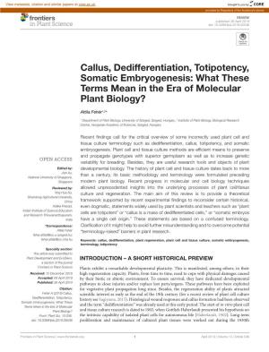 Callus, Dedifferentiation, Totipotency, Somatic Embryogenesis: What These Terms Mean in the Era of Molecular Plant Biology?