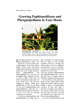 Growing Paphiopedilums and Phragmipediums in Your Home