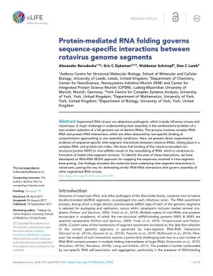 Protein-Mediated RNA Folding Governs Sequence-Specific Interactions Between Rotavirus Genome Segments