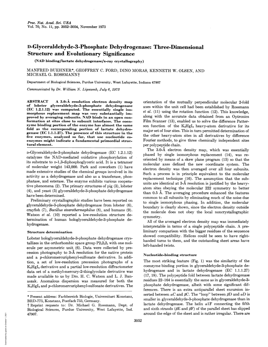 D-Glyceraldehyde-3-Phosphate Dehydrogenase: Three-Dimensional Structure and Evolutionary Significance (NAD Binding/Lactate Dehydrogenase/X-Ray Crystallography)