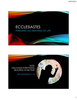 Ecclesiastes Pursuing the Meaning of Life