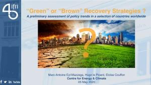 “Green” Or “Brown” Recovery Strategies ? a Preliminary Assessment of Policy Trends in a Selection of Countries Worldwide