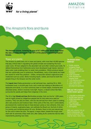 The Amazon's Flora and Fauna