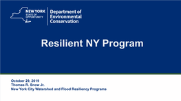 Resilient NY Program