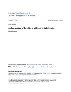 An Examination of Tern Diet in a Changing Gulf of Maine
