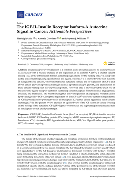 The IGF-II–Insulin Receptor Isoform-A Autocrine Signal in Cancer: Actionable Perspectives