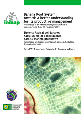 Banana Root System: Towards a Better Understanding for Its Productive