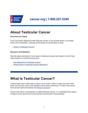 About Testicular Cancer Overview and Types