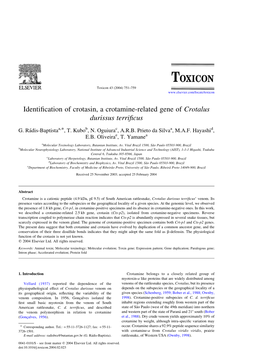 Identification of Crotasin, a Crotamine-Related Gene of Crotalus