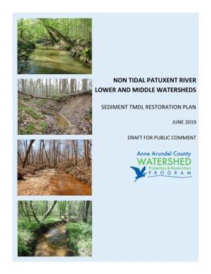 Non-Tidal Patuxent River Lower and Middle Watersheds Sediment TMDL Restoration Plan June 2019