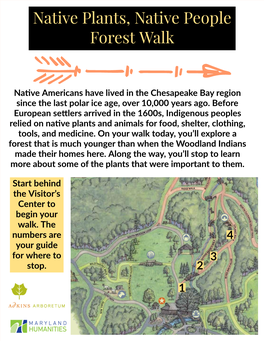 Native Plants, Native People Forest Walk