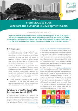 From Mdgs to Sdgs: What Are the Sustainable Development Goals?