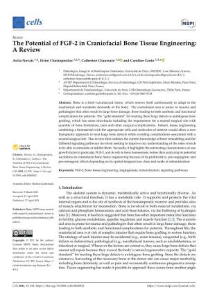 The Potential of FGF-2 in Craniofacial Bone Tissue Engineering: a Review