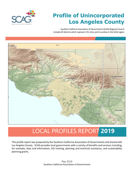 Local Profiles Report 2019