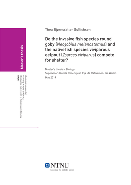 Do the Invasive Fish Species Round Goby (Neogobius Melanostomus) and the Native Fish Species Viviparous Eelpout (Zoarces Viviparus) Compete for Shelter?
