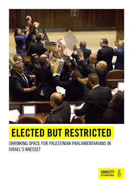 Elected but Restricted-AIUSA Report