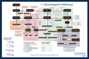 Steroidogenic Pathway Poster-COMPLEX-24X36