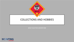 Collections and Hobbies
