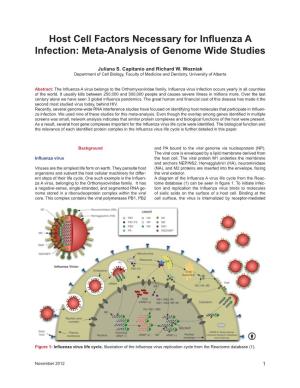 Host Cell Factors Necessary for Influenza a Infection: Meta-Analysis of Genome Wide Studies
