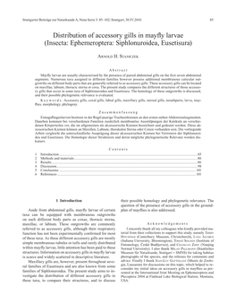 Distribution of Accessory Gills in Mayfly Larvae 87