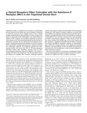 Substance P Receptor (NK1) in the Trigeminal Dorsal Horn