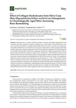 Effect of Collagen Hydrolysates from Silver Carp Skin (Hypophthalmichthys Molitrix) on Osteoporosis in Chronologically Aged Mice: Increasing Bone Remodeling