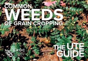 The Common Weeds of Grain Cropping – the Ute Guide