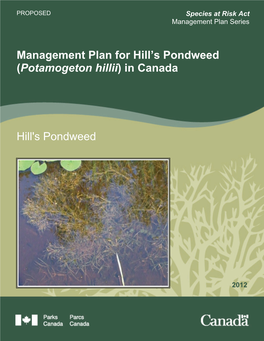 Management Plan for Hill's Pondweed (Potamogeton Hillii) in Canada [Proposed]