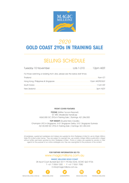 GOLD COAST 2Yos in TRAINING SALE SELLING