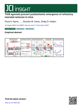 Trkb Agonists Prevent Postischemic Emergence of Refractory Neonatal Seizures in Mice