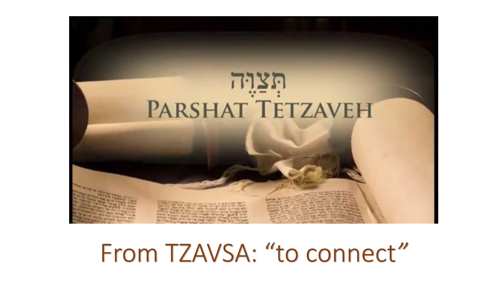 Connections to Parsha Tetzaveh and a Lot More (PDF)