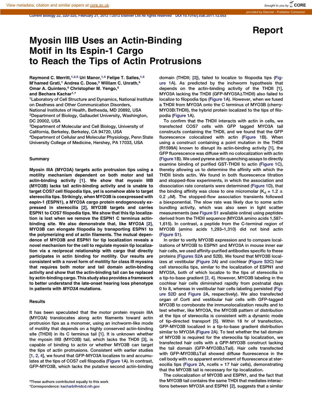 Myosin IIIB Uses an Actin-Binding Motif in Its Espin-1 Cargo to Reach the Tips of Actin Protrusions