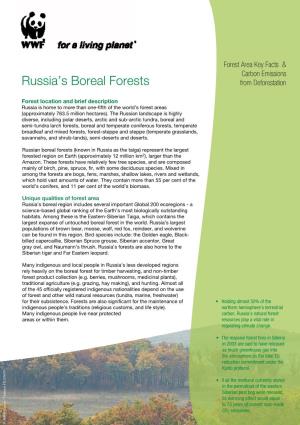 Russia's Boreal Forests