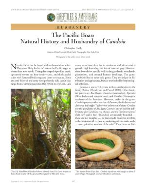 Natural History and Husbandry of Candoia