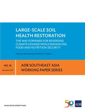 Large-Scale Soil Health Restoration: the Way Forward for Reversing Climate Change While Enhancing Food and Nutrition Security